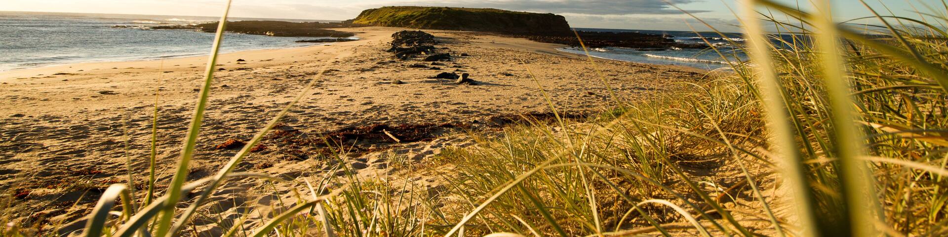 Windang Island, Wollongong