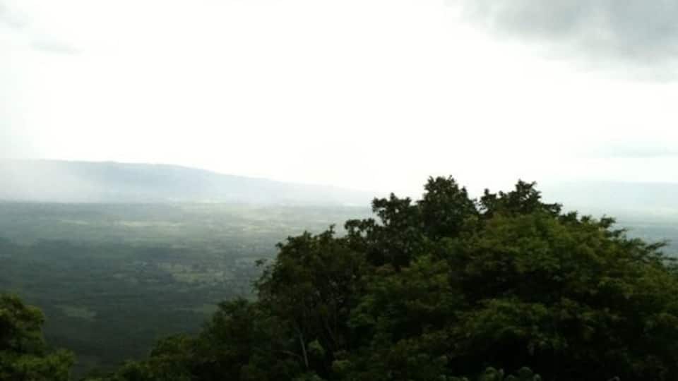 A dense forest with a view of distant hills under a cloudy sky.