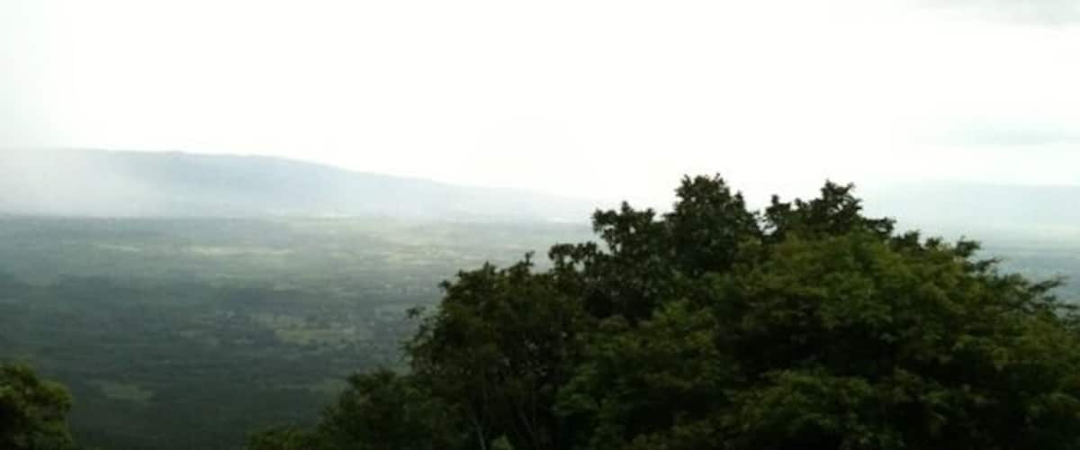A dense forest with a view of distant hills under a cloudy sky.
