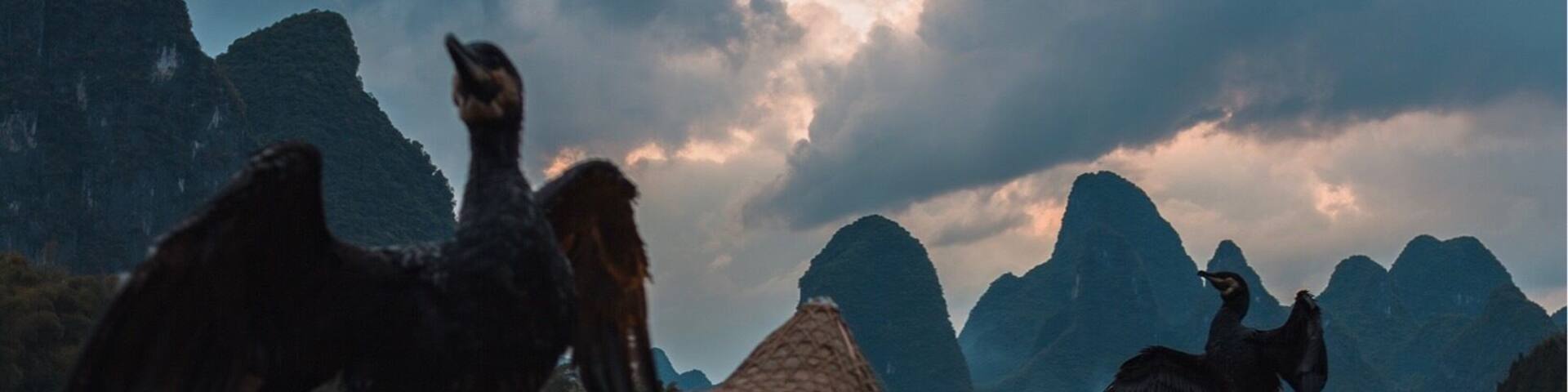 If you walk along the riverside in Xingping after sunset, you can see fishermen gather here to fish, on cormorant-perched, gas-lit bamboo rafts.