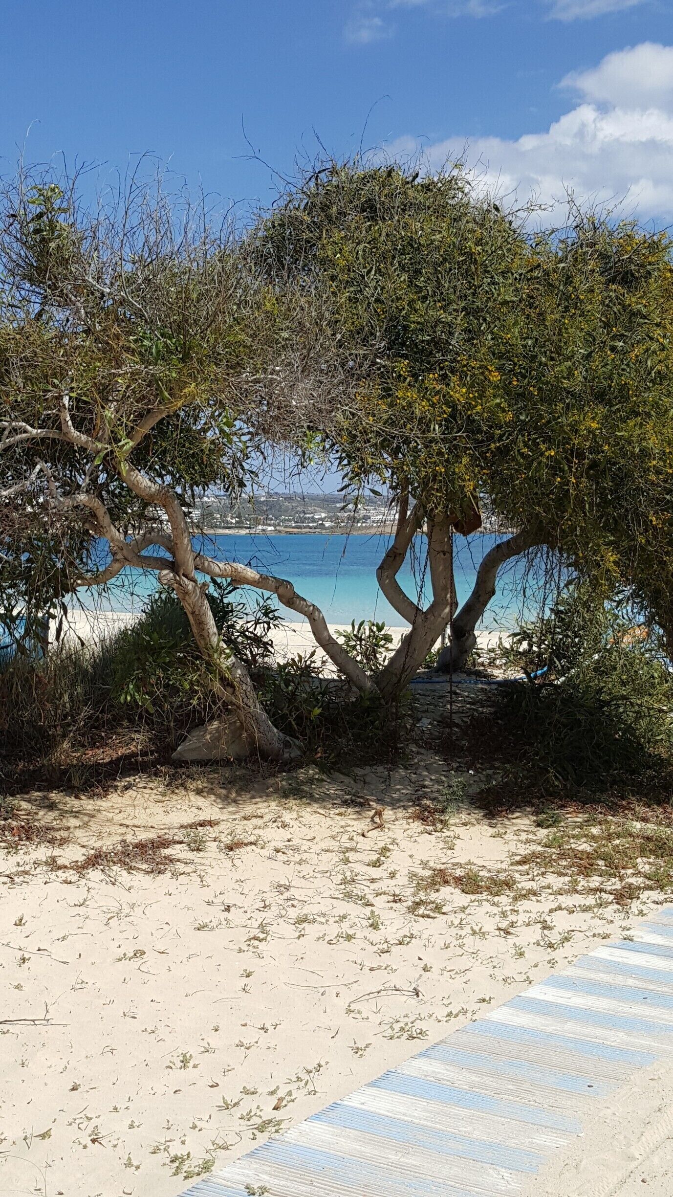 great view of the beach 