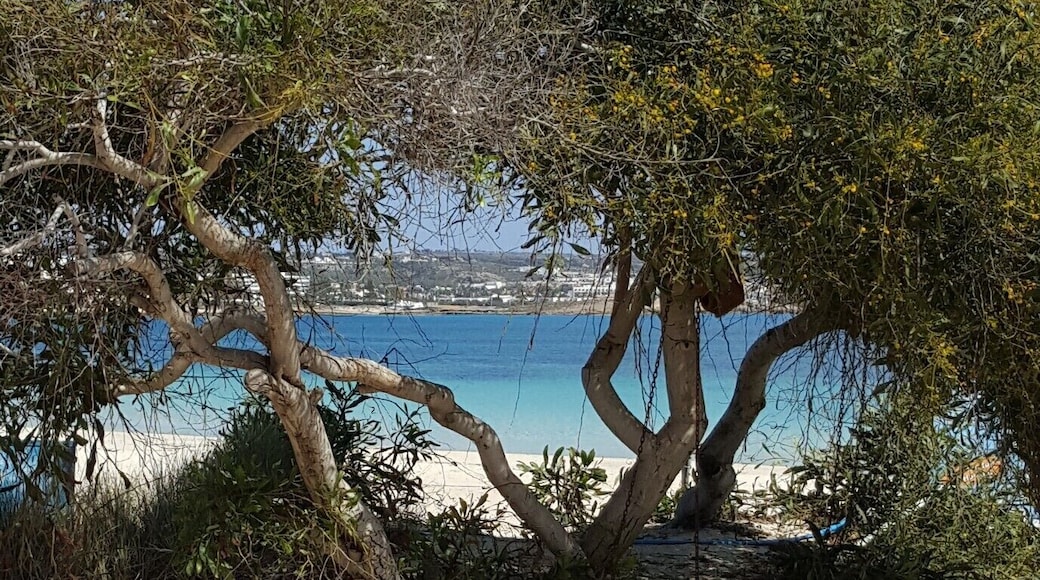 great view of the beach