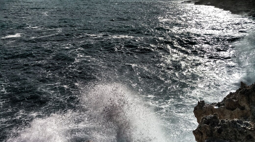Cape Greko, near Ayia Napa. Some interesting geology, and lots of sea!