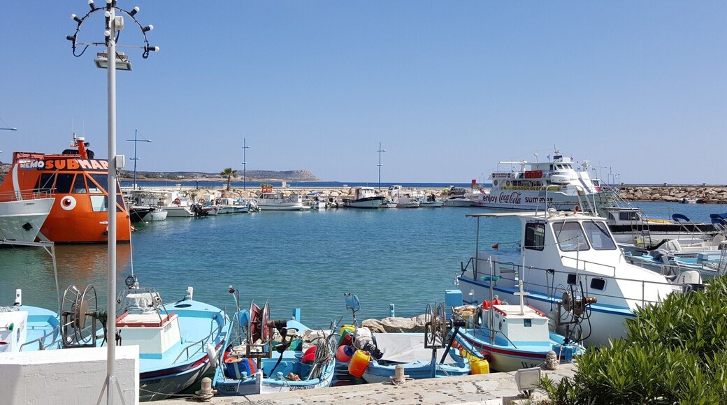 Next time I visit, I'm going on one of these boats. There is so much to appreciate here.