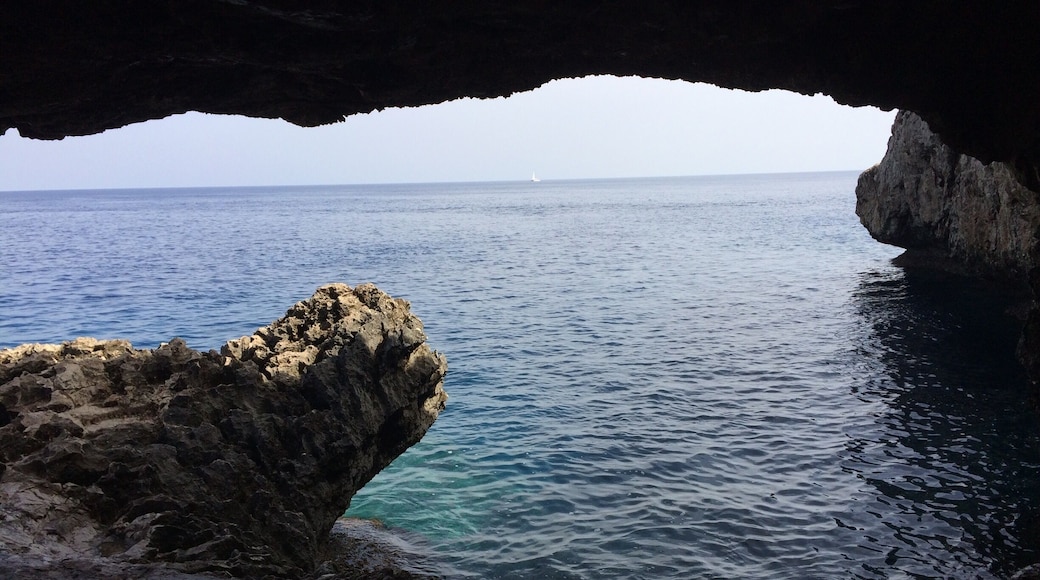The sea caves are situated near Agioi Anargyroi chapel in Cape Greko National Park. Worth a visit to the crystal clear waters.