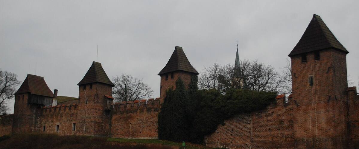 A historic brick castle with multiple towers and a large tree in front.