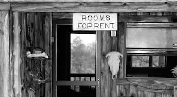 This was a cabin we stayed in called the "Best Little Cabin in Texas", located in Smithville, about 30 minutes from Austin. Spent a totally relaxing weekend..