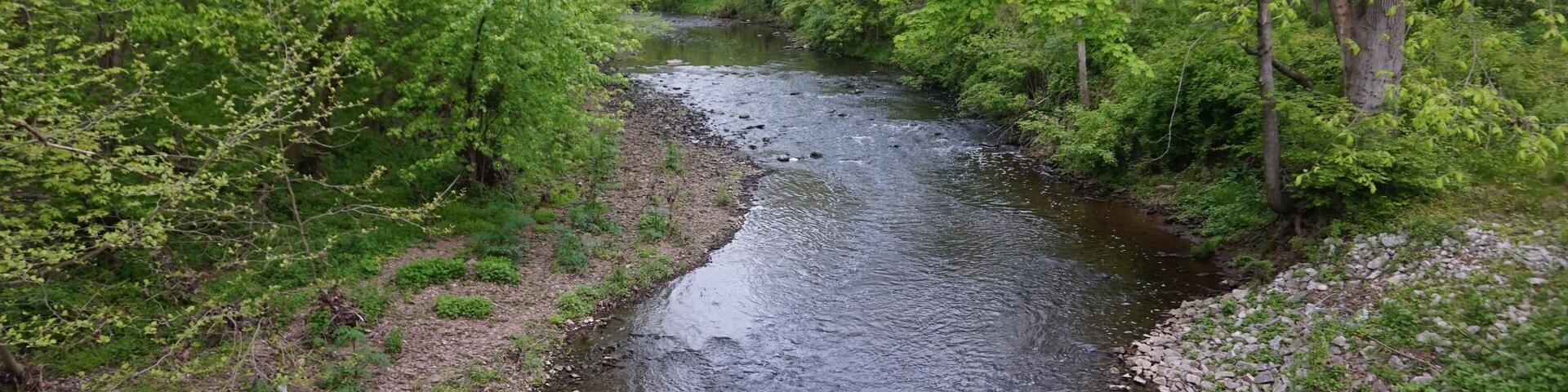 Wissahickon
