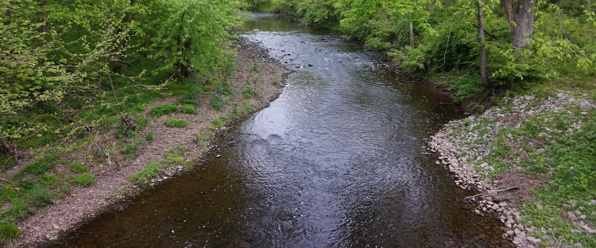A river flowing through a densely wooded area with lush green trees and a rocky riverbank.