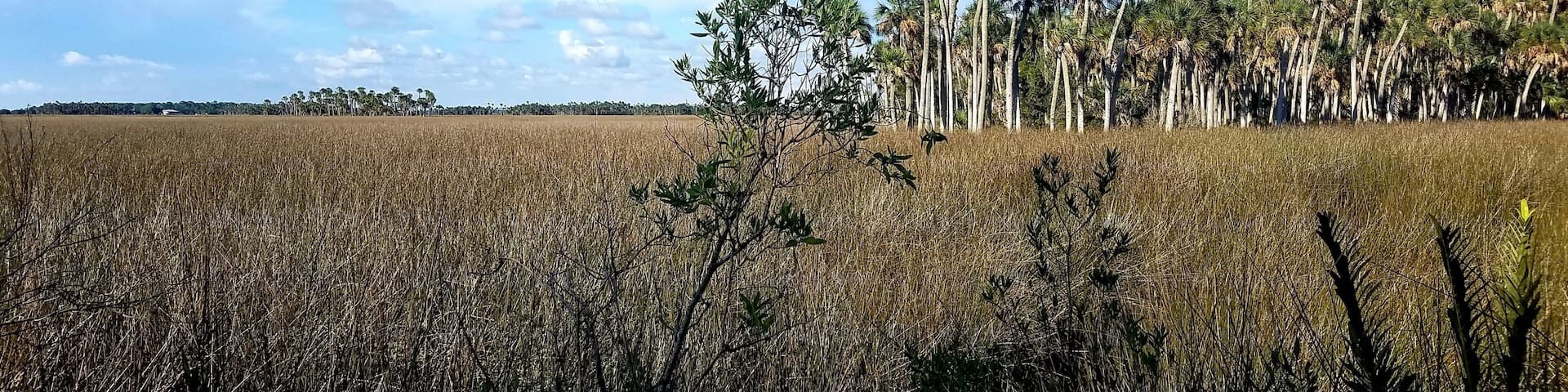 Beautiful Day Hiking at Weekiwachee Preserve, Spring Hill, Florida