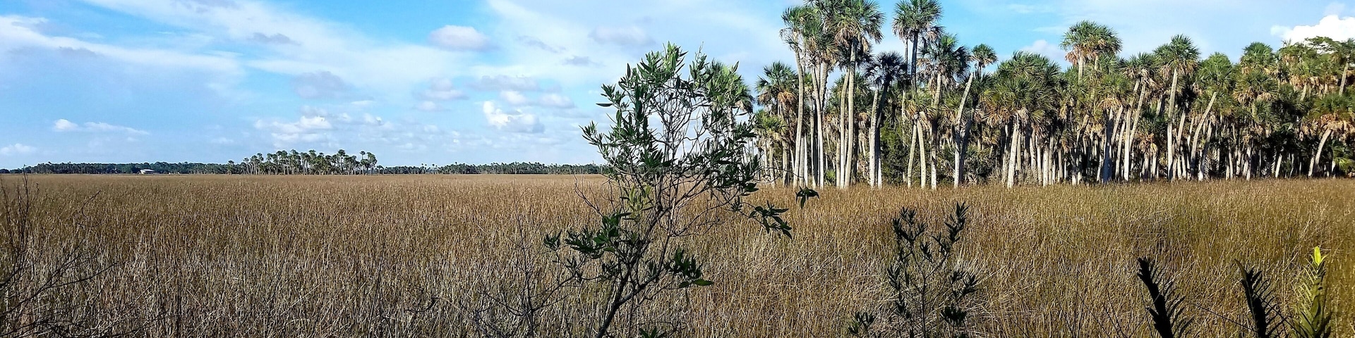 Beautiful Day Hiking at Weekiwachee Preserve, Spring Hill, Florida