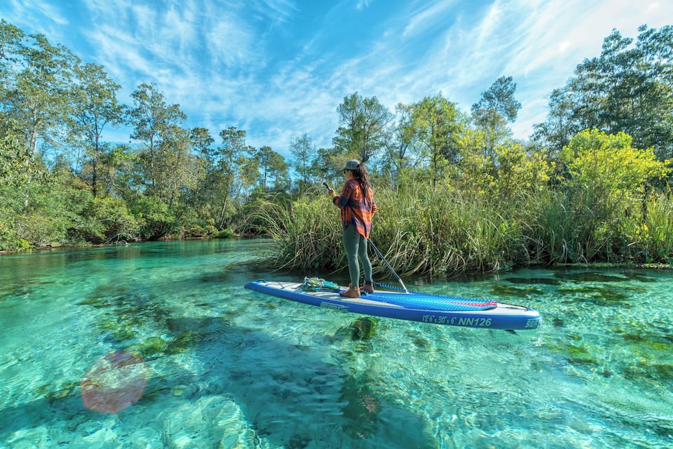 A person paddleboarding on a clear river surrounded by dense vegetation and trees.