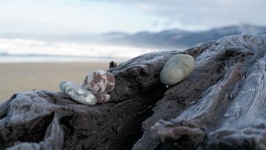 It was unusually cold, frost frost everywhere