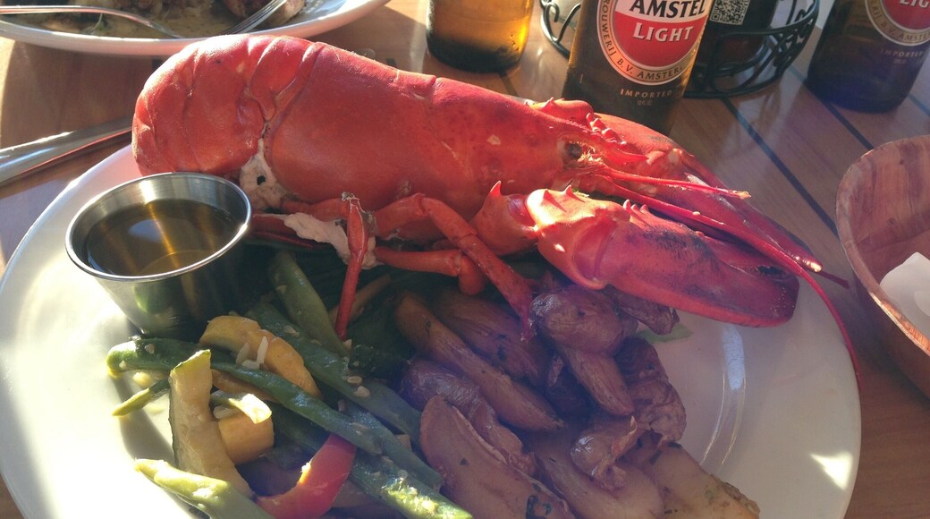 Pulled right out of the water