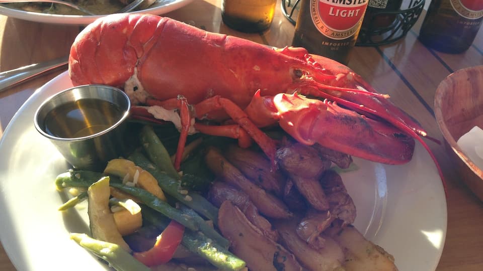 Pulled right out of the water