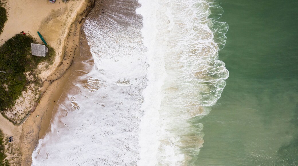 ساوث كينغستاون