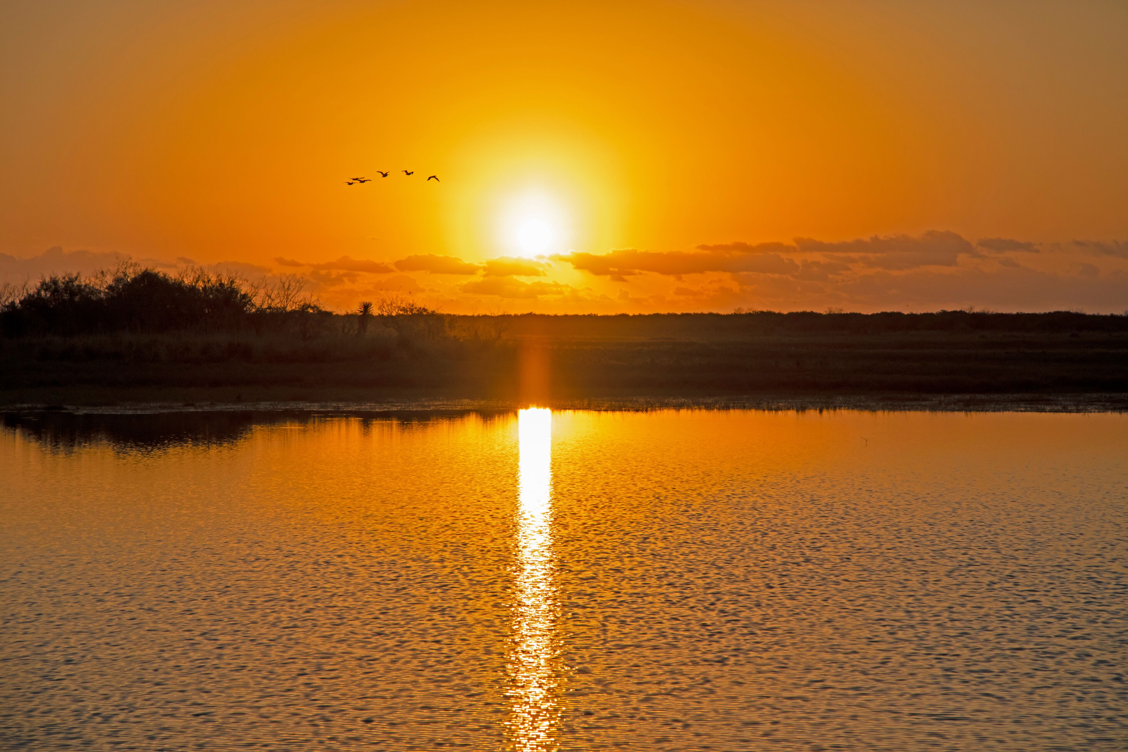 USA, Texas, Cameron County. Laguna Atascosa National Wildlife Refuge, sunrise