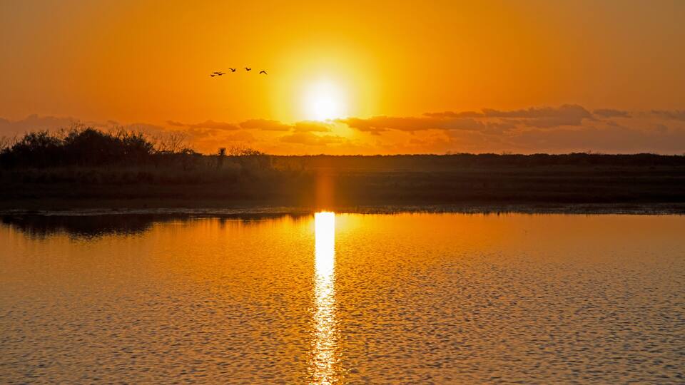 USA, Texas, Cameron County. Laguna Atascosa National Wildlife Refuge, sunrise
