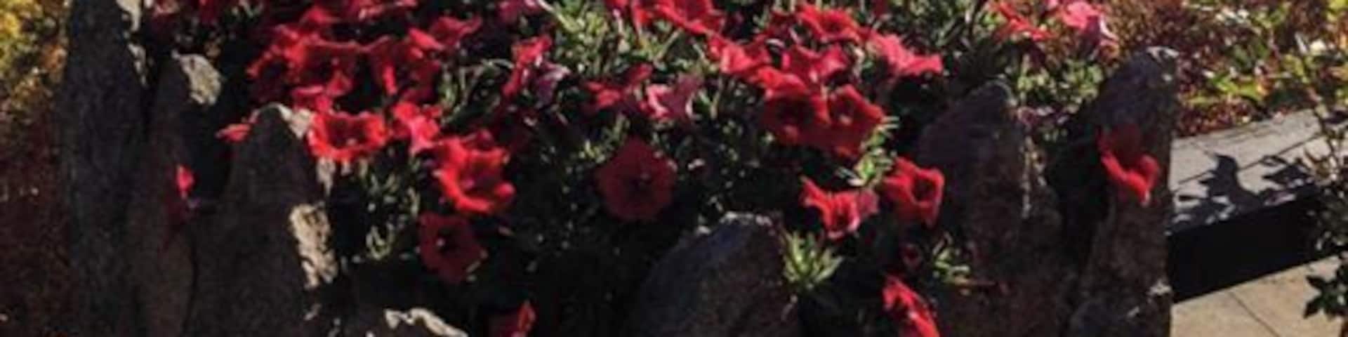 Looking down on Lake Winnipesaukee from Castle in the Clouds