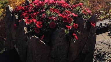 A rocky ledge with red flowers, a forested landscape, and distant mountains under a clear sky.