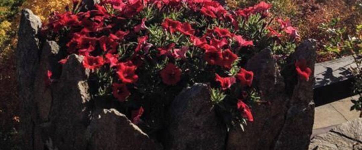 Looking down on Lake Winnipesaukee from Castle in the Clouds