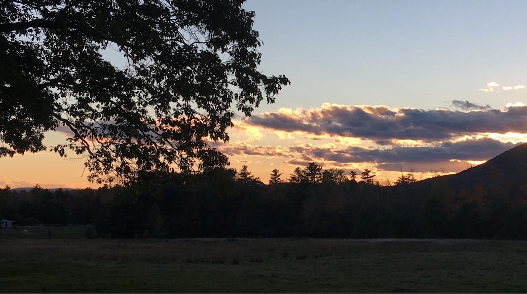 Think the parents are hiding from the kids... Know the feeling đđđ