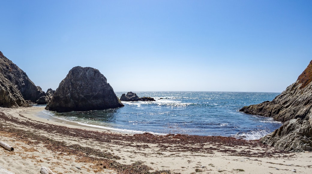 Sebastopol