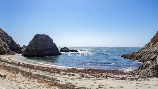 Driftwood shelter on beach below rocky cliffs at Bodega Head Trail, Bodega Bay, California, United States on sunny summer day