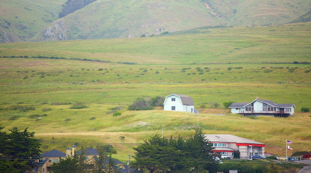 Bodega Bay showing a small town or village and tranquil scenes