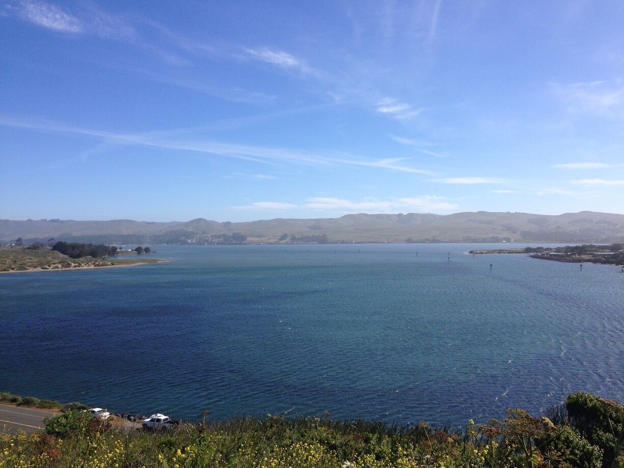 View of Bodega Bay.