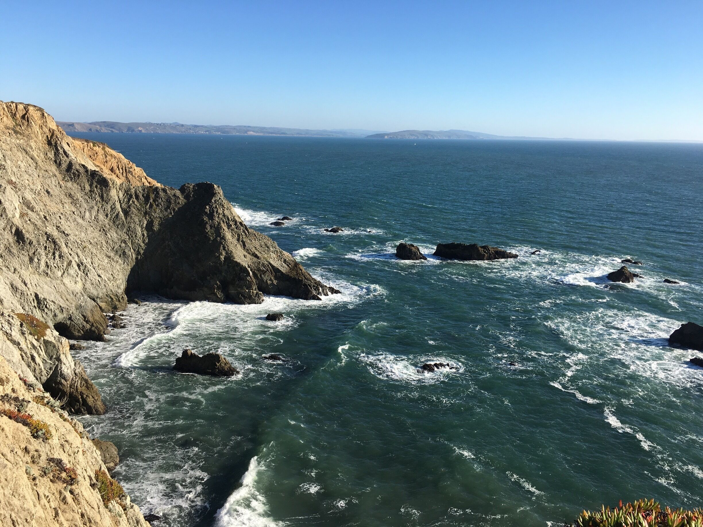 Bodega head is breathtaking. Whale watching, gorgeous coastal walk. 