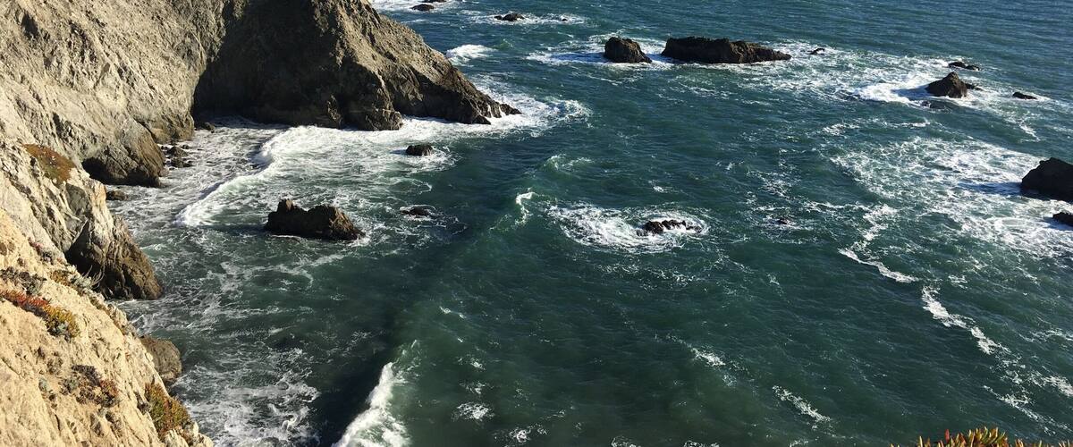 Bodega head is breathtaking. Whale watching, gorgeous coastal walk.