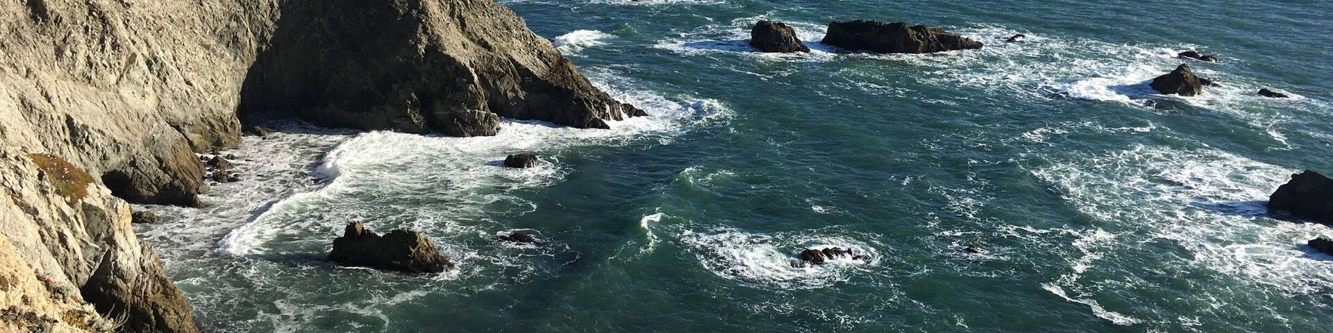 Bodega head is breathtaking. Whale watching, gorgeous coastal walk.