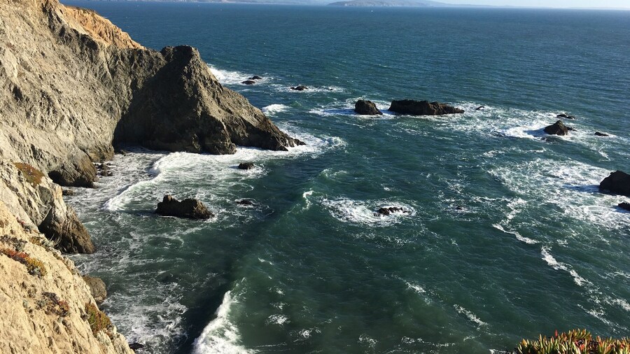 Bodega head is breathtaking. Whale watching, gorgeous coastal walk.