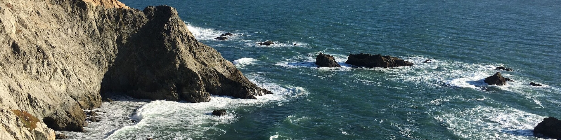 Bodega head is breathtaking. Whale watching, gorgeous coastal walk.