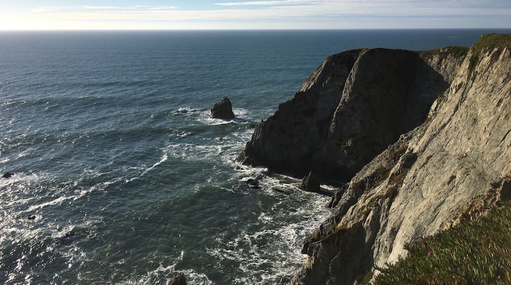 Beautiful coastal Northern California