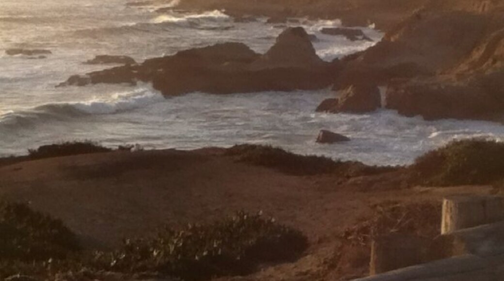 Coastline north of bodega, CA