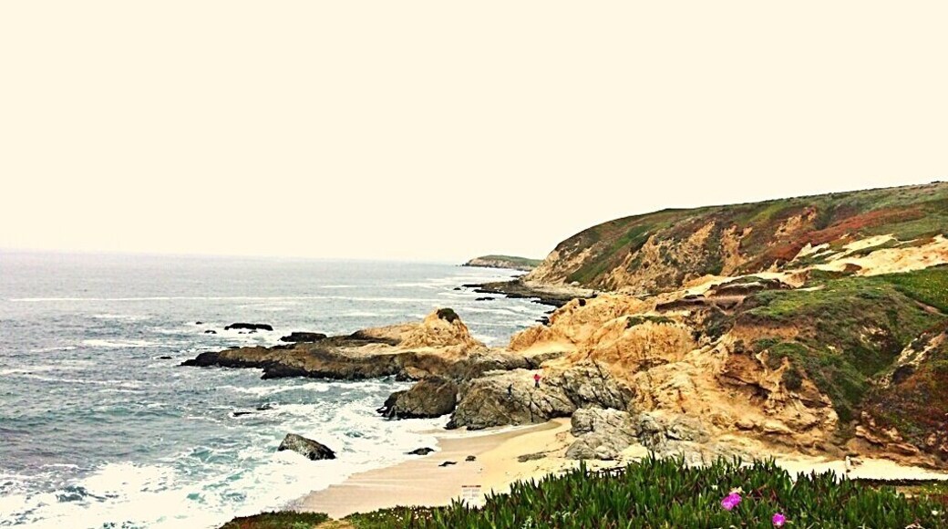 The view by the Bodega bay head