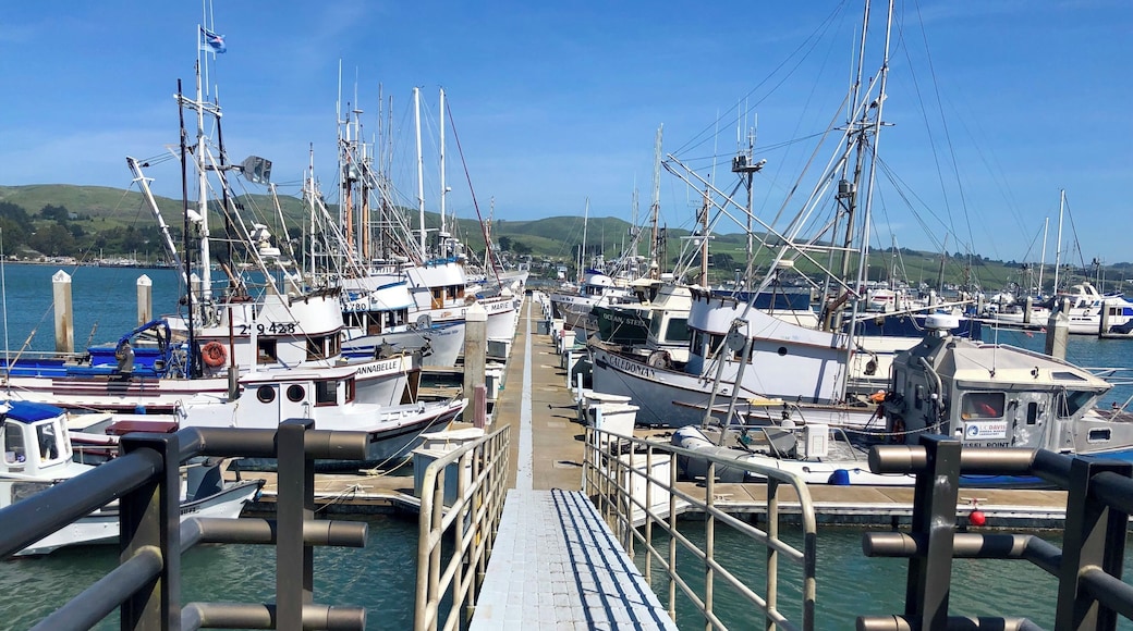 The working mans marina filled with crab and fishing boats. There are several good dining options right across from here.
