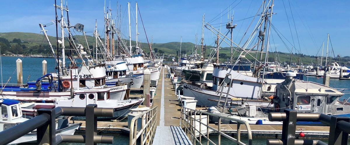 The working mans marina filled with crab and fishing boats. There are several good dining options right across from here.