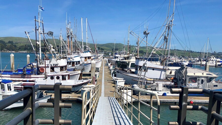 The working mans marina filled with crab and fishing boats. There are several good dining options right across from here.