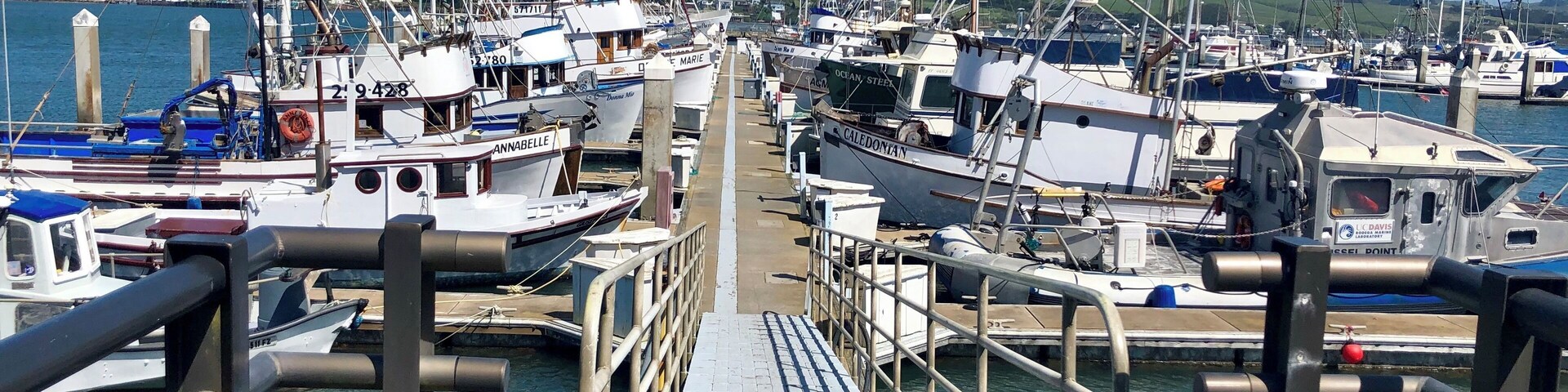 The working mans marina filled with crab and fishing boats. There are several good dining options right across from here.