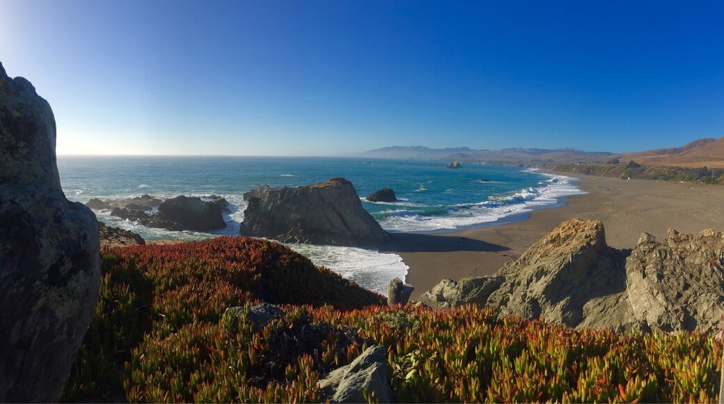 We happened upon this gorgeous 17 mile drive while in Sonoma. Being from Florida to experience this was super amazing - ahh the views 😍
#sonoma #california #statepark
