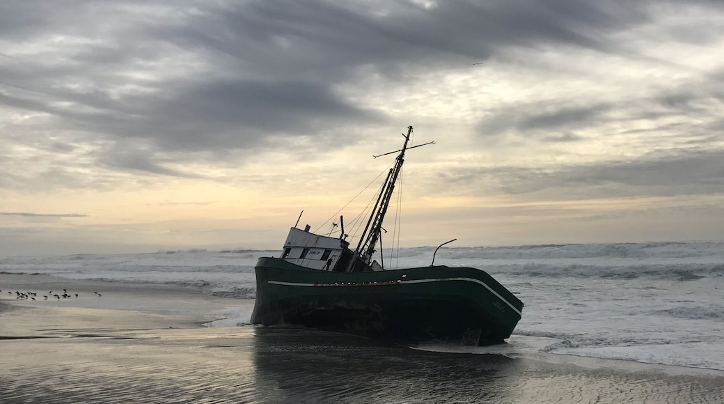Shipwreck on a Bodega Beach. I've been coming to this beach since I was a kid and this was by far the coolest thing I've seen. #weekendgetaway