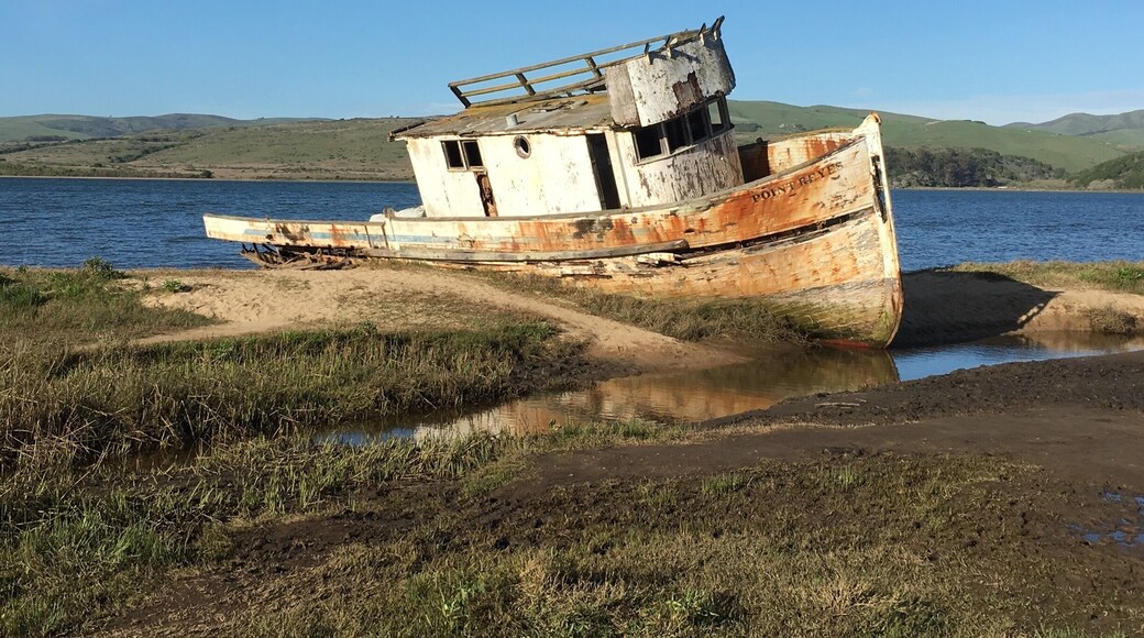 There is beauty all around you! Just look for it!