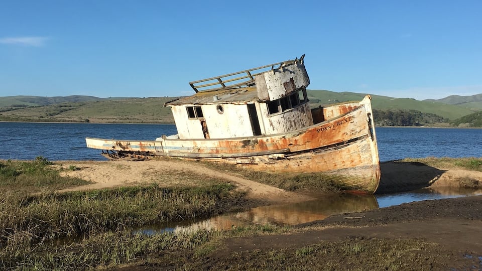 There is beauty all around you! Just look for it!