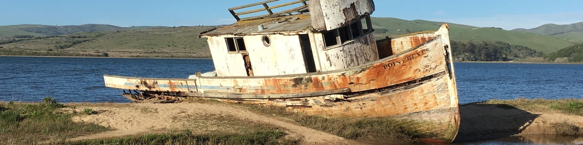 There is beauty all around you! Just look for it!