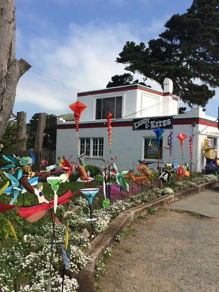 For all you kite fanatics 😊