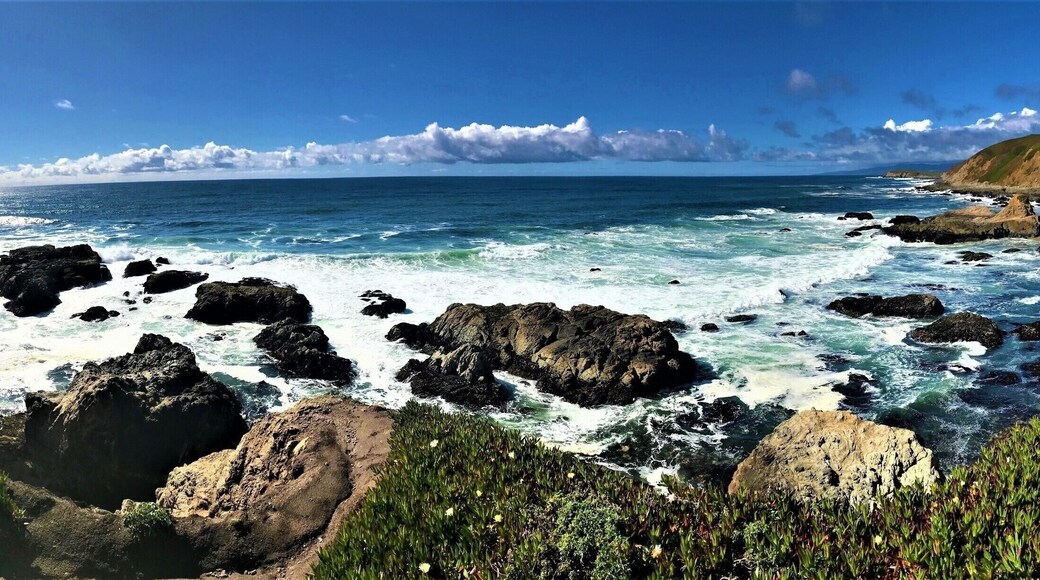 Beautiful semi-secluded beach. Perfect for whale watching around March/April. Scenery is absolutely stunning.
#LifeAtExpedia