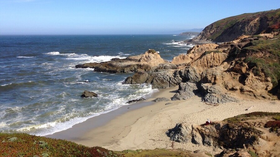 View of the Pacific Ocean from the point on the northern side of Bodega Bay.
#BeachBound